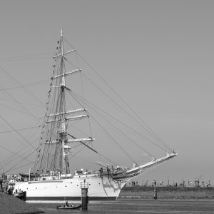 Baptiste-The Tall Ship Race - les vieux grééments-03 août 2018-0075